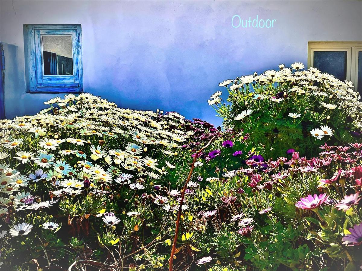 B&B Le Pavoncelle Sarde Флумини-ди-Кварту Экстерьер фото